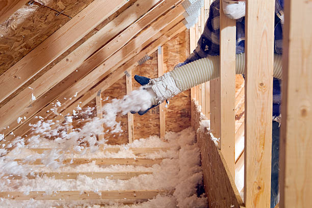 Best Weatherproofing Services  in Washburn, ND